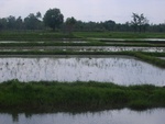 34584RIMG0050.JPG