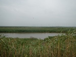 54432DSCN1713.JPG
