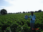 127000192b-rainfed-agriculture-mixedcrop-blackgram-soyabean-cotton-gram.gif