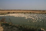 4468IMG_7107.jpg