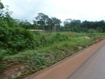 19984P1010834.JPG