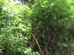 13815IMG_4078.JPG
