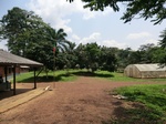 46446CIMG0735.JPG