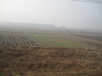 8411IMG_0236.JPG