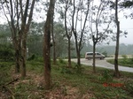 52887CIMG4976_调整大小.JPG