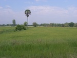 28070RIMG0125.JPG
