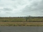 35969DSC02740.JPG
