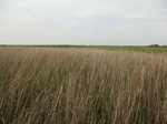 53808CIMG0275.JPG
