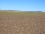 37863CIMG1670.JPG