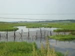54551DSC09450.JPG