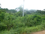 20640P1020497.JPG