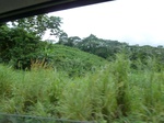 20252P1020107.JPG