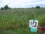125610152a-irrigated-supplemental-groundwater-millet-dominant-sugarcane.gif