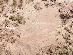 8801BareSoil.jpg