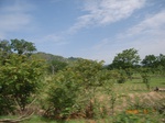 8908nigeria 120.jpg