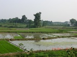 53907CIMG3338.JPG