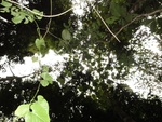 46725DSC02061.JPG