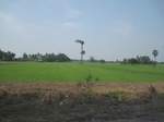 28355IMG_5230.JPG
