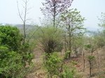 503820042008(74).JPG