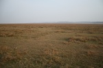 4263IMG_8902.JPG