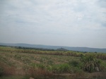 28117IMG_4925.JPG