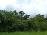 20289P1020145.JPG