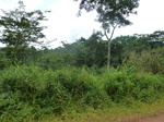 20565P1020422.JPG