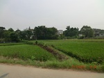 53918CIMG3545.JPG