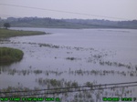 819R0015377_tag.jpg