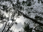50487CIMG1116.JPG