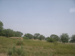 9070RIMG0150.JPG