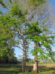 31933IMG_5662.jpg
