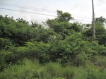 33283IMG_5613.JPG