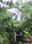 1043218-forest-remanant-degraded-iucnb.gif