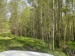 2025-05-21_10-09-16_IMG_7715.jpeg
