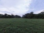 24869DSC01083.JPG