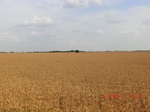 29474CIMG0773.JPG