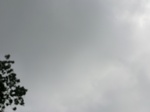 47247CIMG3584.JPG