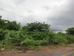 55881CIMG6571.JPG