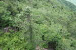2024-08-05_13-51-14_56891D39-0DC8-4F17-A8DB-3CCE74152D12.jpeg