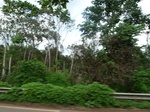 25162P1020002.JPG