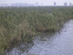 640R0015148.jpg