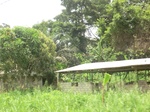 49246CIMG5583.JPG