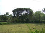 497619042008(74).JPG