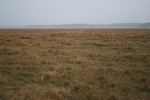 4262IMG_8901.JPG