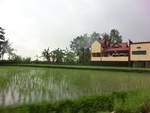 30691CIMG0507.JPG