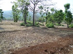 1718020042008(106).JPG