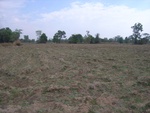 28069RIMG0124.JPG