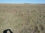 40347ELRE20111019GPS.JPG
