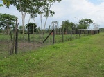 32113IMG_5537.JPG